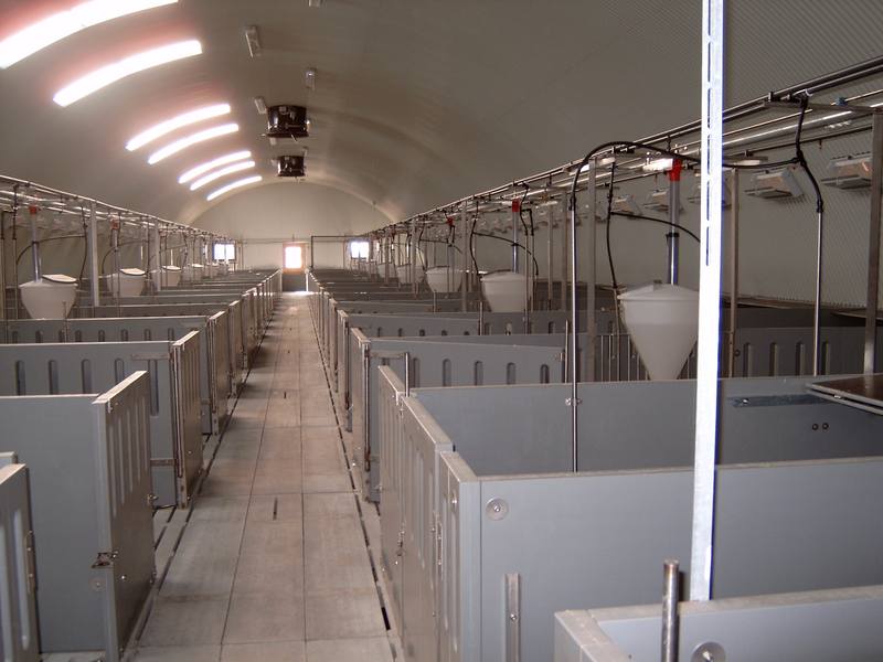 Арочный свинарник