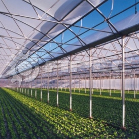 Металлические теплицы - 4