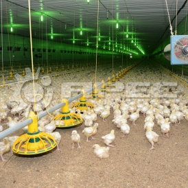 Металлические курятники для птицеводства - 2