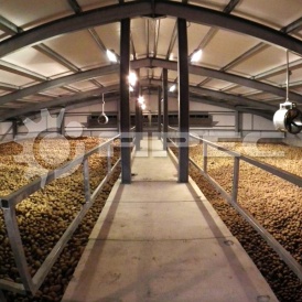 Быстровозводимые хранилища для картофеля - 4