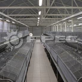 Кроликофермы (крольчатники) - 1