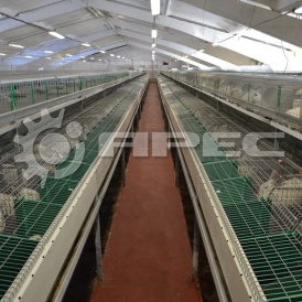 Кроликофермы (крольчатники) - 6