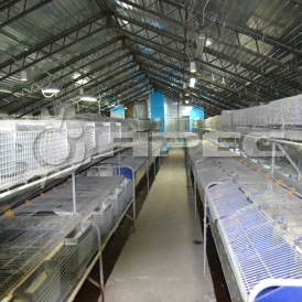 Кроликофермы (крольчатники) - 5